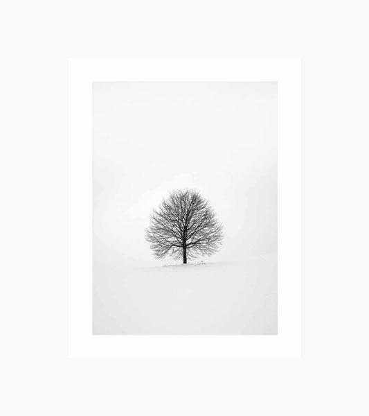 Solitary 1