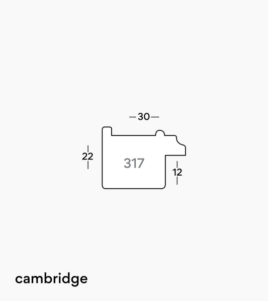 Cambridge Antique Silver 317/417