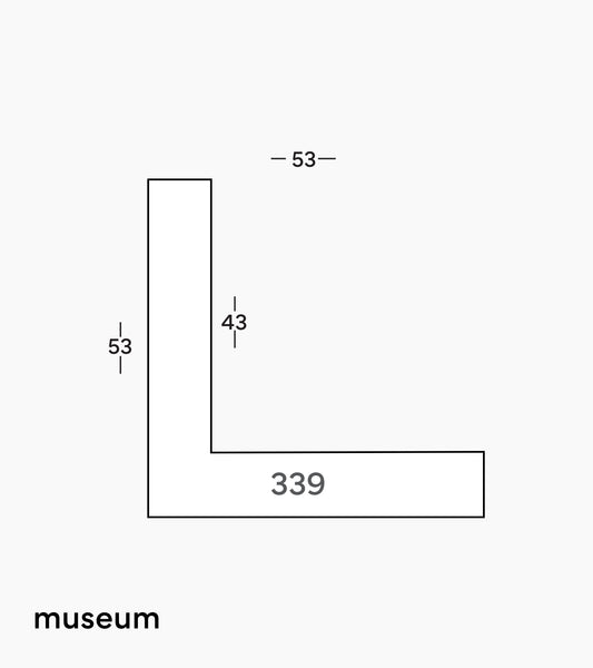 Museum Black Tray Frame 339/231